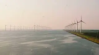 Aerial view of a large group of wind turbines on a coastal levee, highlighting sustainable energy