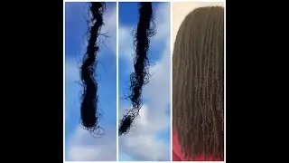 Budding Locs (Interlocks & Braidlocs)