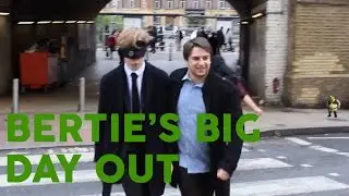 Bertie's BIG Day Out