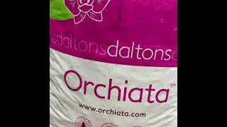 Орхиата лучший субстрат для орхидеи