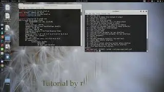 Connect To The  WIFI Using CLI (Command Line) In Kali Linux | (Wifi Not Working Fixed)