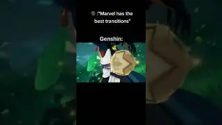 Genshin Impact Transitions solos everything