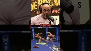 Why Hitting The Back Of The Head Is Okay