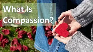 What is true compassion? | Meditation