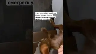 Ситуация из жизни)