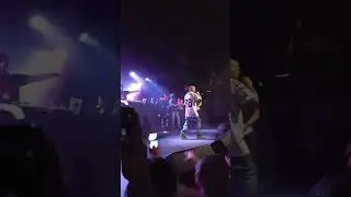 DMX where the hood at live