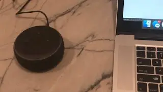 Alexa, Firebase and React Demo