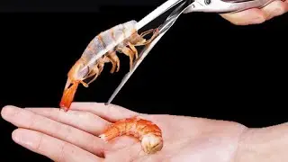 Нож для чистки креветок.   A shrimp paring knife.