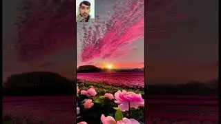nature and colorful sky 