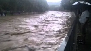 Verano en Barcelona-Cerdanyola 1