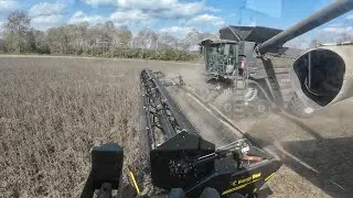 Harvesting Soybeans with a 50’ head at 6mph