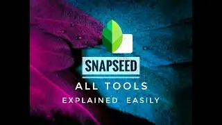 SNAPSEED Complete Tutorial  - All Tools Explained in English | Android | iPhone