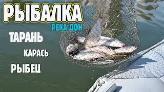 РЫБАЛКА 02.10.2022. РОСТОВ-НА-ДОНУ. Тарань. Карась. Рыбец.