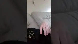My cat shadow