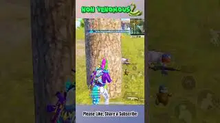 Playing With Non Venomous Snake 😳 PUBG Mobile 