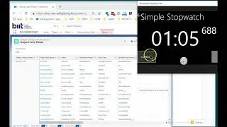 Generate Data Dictionary (Metadata explorations / Apex)