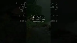 #quranrecitationbestclip #qurantilawat #hearttouchingquran #quranforpeace #quranforsleep #bestvoice