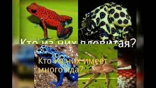 ТЕСТ на дикую природу!