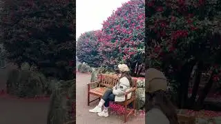 겨울 여행 필수코스ㅣ제주 동백포레스트ㅣ인생샷 건져보아요~