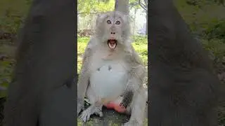 VID20221109111315