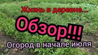 Жизнь в глухой деревне.Обзор огорода в июле.Что можно скушать на огороде?нужен ваш совет!!!!