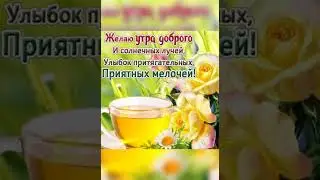 С Добрым солнечным утром!!
