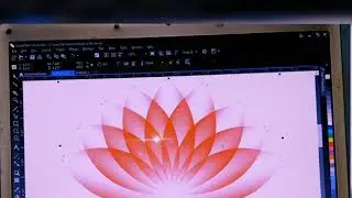 How to make a Simple flower in Corel draw