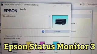 How to check epson status moniter 3