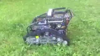 PANTHER
