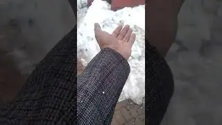 VID 20220216 WA0046