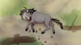 NYM - Animation meme
