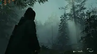 Alan Wake 2 | Forest FPS | RX 5700XT | FSR3 Frame Gen Mod