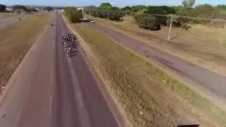 Transmissão ao vivo de Rafael Motta