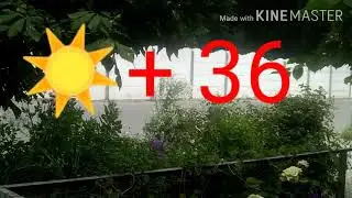 Жара.☀️... 2020