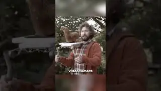 The Chicken with the Best Stabilization in the World