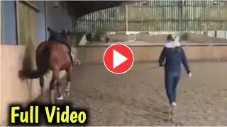 charlotte dujardin horse video | charlotte dujardin video | charlotte dujardin error video |