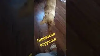 19 февраля 2024 г.