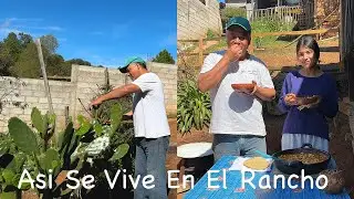 Como No Me Va Gustar Esta Receta Con Ingredientes Recién Cosechados