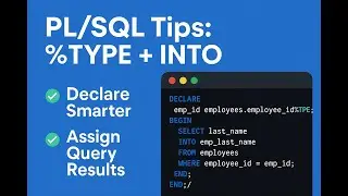 PL SQL Type Attribute with query result into variable