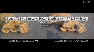 Sony A7S2 vs Samsung NX1 - Daytime 4K AF TEST with Cat