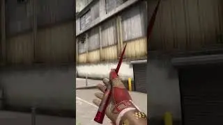 Is this skin the NEW BUTTERFLY KNIFE? | TDM_Heyzeus