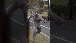 Playing hide and seek with a creature