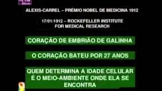 Água da Vida Alcalina a Unica ionizada com Ozonio