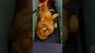 Уррааа, папа не убрал лодку! Плывем)))