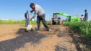 Biochar at Larnaka Airport