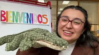 Cuentos lanzados - Coco y pío