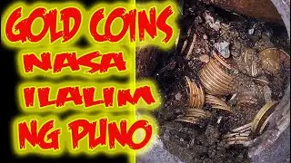GOLD COINS NAPULOT SA ILALIM NG PUNO