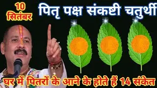 10 September Pitru Paksha Sankashti Chaturthi Day | 3 Tulsi Leaf Remedy of upay |🙏Pradeep Ji Mishra🙏