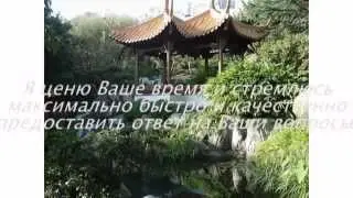 Марина Соловьева. Отзыв о шаблоне AB Inspiration (МЛМ Блог За 1 Час).