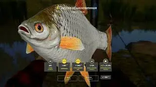 ❗❗❗Русская Рыбалка4❗❗❗Ахтуба🔔Троф Плотвы🐠